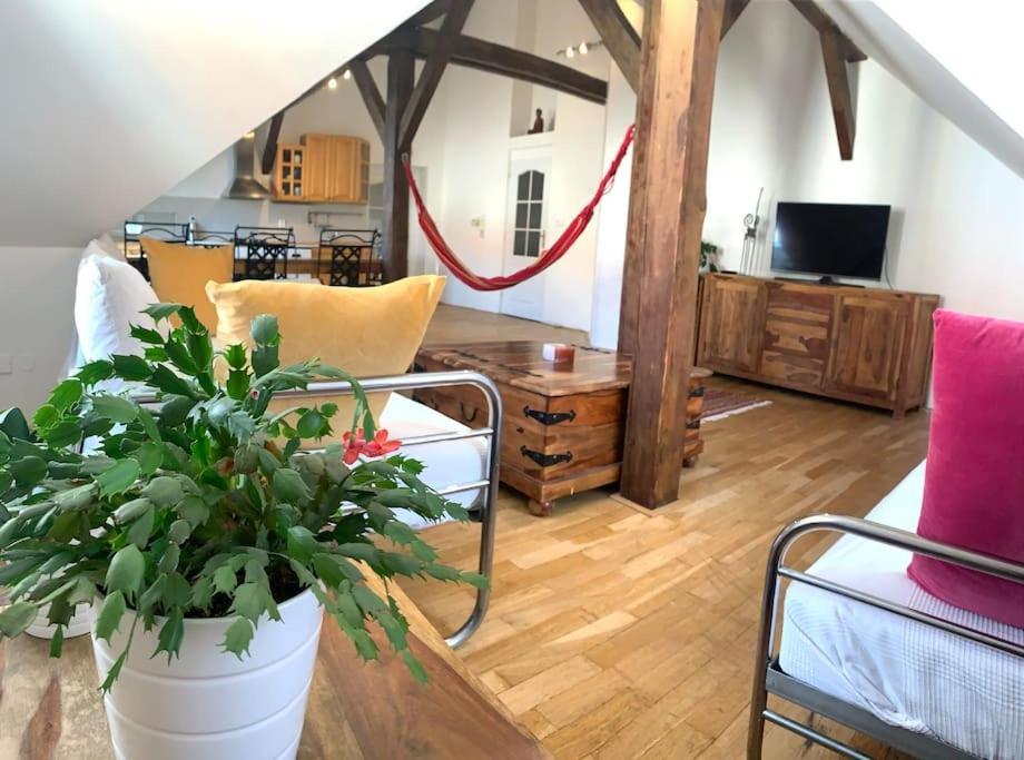 The Loft Apartment *